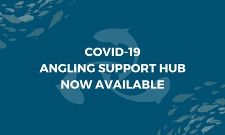 New Coronavirus Support Hub