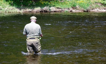 The Trout & Salmon ‘Stinker’ Quiz