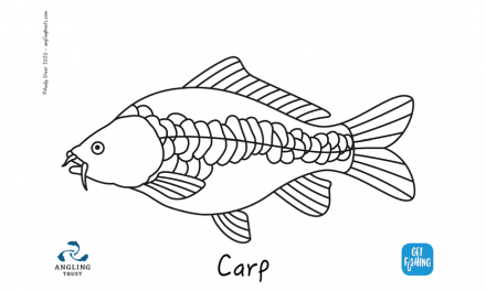 Kids Club | Colouring in – carp