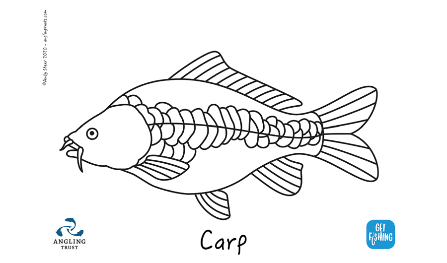 Kids Club | Colouring in – carp