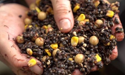 Kev Hewitt’s Autumn Baiting Secret