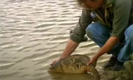 Carp fishing with Kevin Maddocks – Part One
