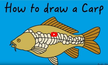 Kids Club | How to Draw Carp