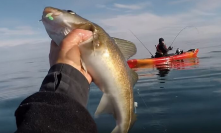 Fishing for cod: A kayak adventure in Scotland