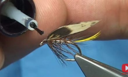 Tying a Silver Invicta (Traditional Wet Fly) with Davie McPhail