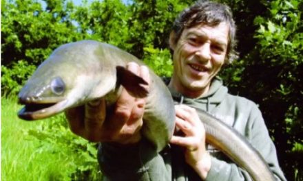 The Lure And Challenge of Eel Angling