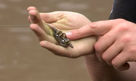 Method Feeder Fishing For Beginners
