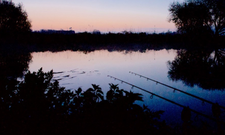 Keep on Night Fishing – Angling Trust Update