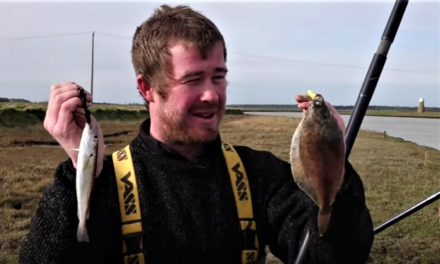 Small sea fish – from a muddy river!