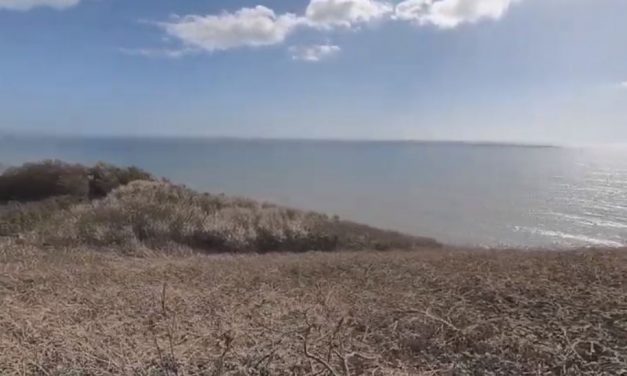 Virtual Walk By The Sea – Walking SW Coast Path In Devon, England