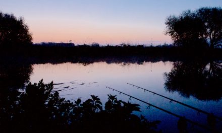Angling in Wales – Green Light for Night Fishing