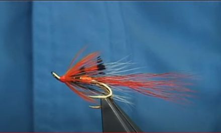 Tying the Orange Ally’s Shrimp – Davie McPhail