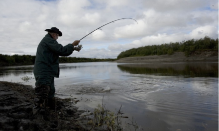 Five Need-to-Know Things About Lure Colours for Pike
