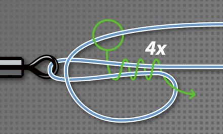 Ultimate Guide to Knots