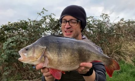 4lb Perch on a Lure