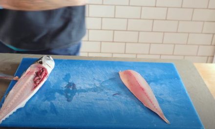 How to Fillet a Mackerel – 4 Different Ways