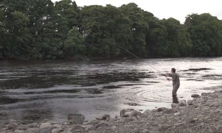Fishing the Sunray Shadow