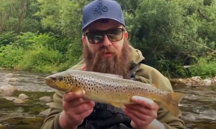 Lure Fishing for Wild Trout