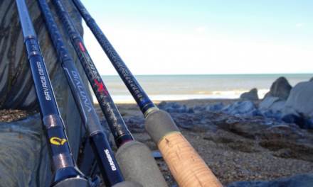 Choosing a Lure Rod for Bass