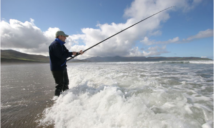 Understanding Surf, Swell and Tides (To Catch More Fish!)