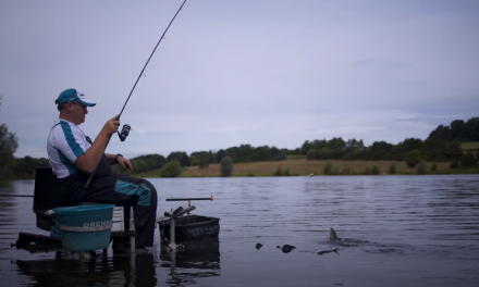 Powergum Rig for Feeder Fishing With Braid