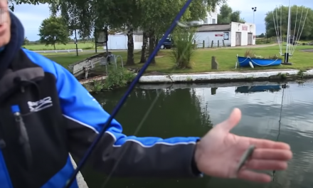 Perch on Lures