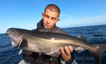 Autumn Wreck Fishing