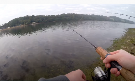 Micro Lure Fishing Match
