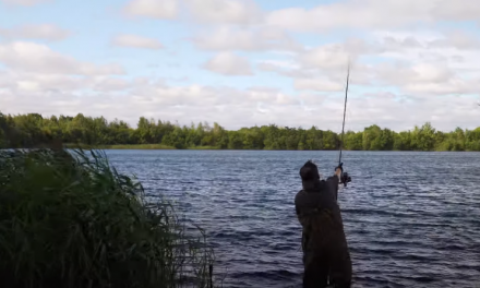 Windswept Whackers – Lewis Porter & Jim Wilson