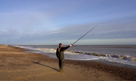 Beach Fishing for Whiting