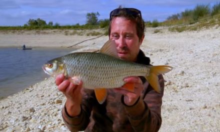 Huge Roach with Rich Wilby