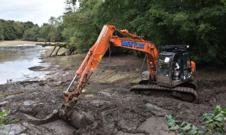 Redmire Restoration Pt 2