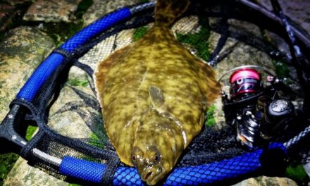 MULTI-SPECIES HUNTING WITH LIGHT LURES