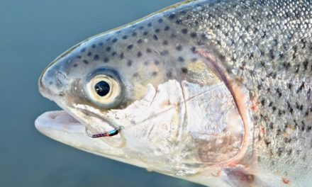 How to Fish the Static Buzzer