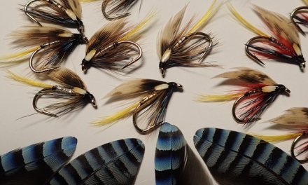 Fly Fishing for Wild Trout on Natural Lakes and Reservoirs