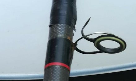 Replacing a damaged rod ring