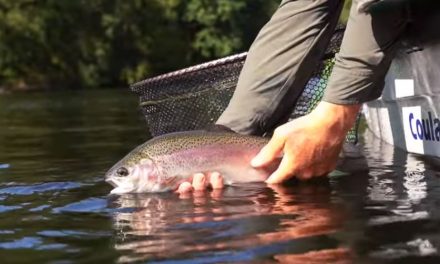Winter Trout Fishing Techniques For Stillwater Venues