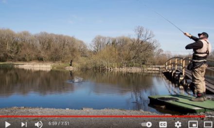 Dry Fly Fishing in super clear water
