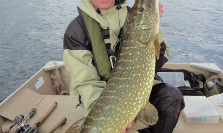 Simple Weedless rigging for soft plastics