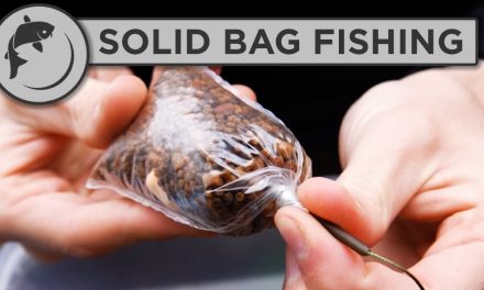 A Simple Guide To Carp Fishing With Solid Bags – Solid Bag Fishing
