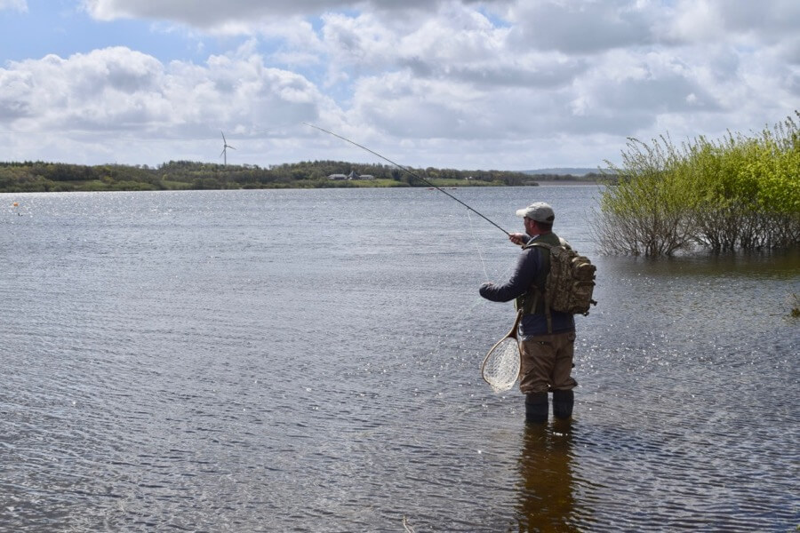 Angling Trust Criticises Government for Lack of Fish Species in Environment Targets.