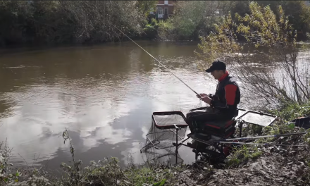 Record Breaking Tactics Revealed | Bleak Fishing on the River Wye