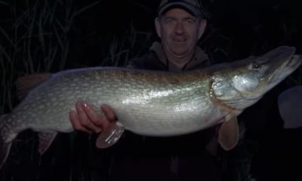 Bank Fishing With Deadbaits For Chew Valley Pike!