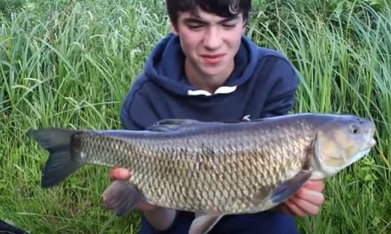 Ultimate Guide To Catching Chub!
