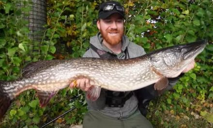 20lb+ Canal Pike Caught Live On Camera!