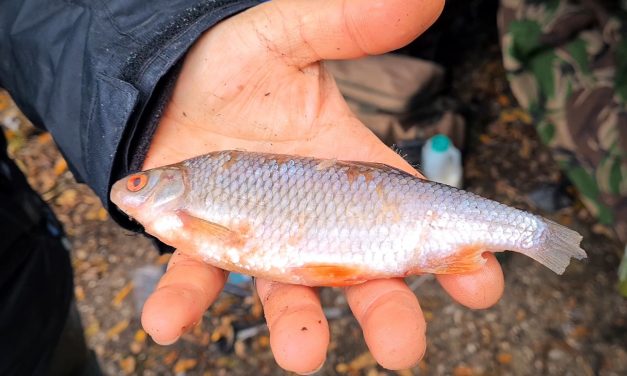 How To Hook Dead Baits | Float fishing for Pike | Get Fishing TV