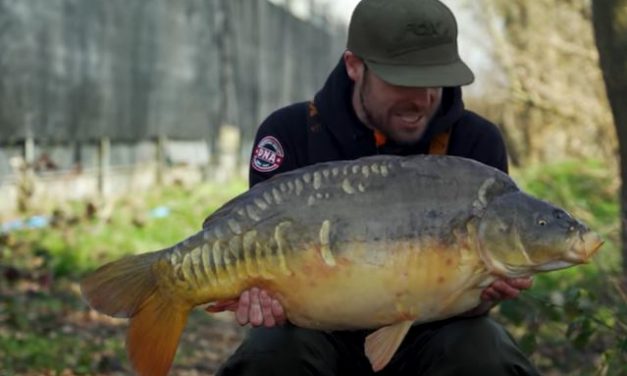 Beat The Ban! – Catch More Carp On Boilie/Pellet Only Venues!