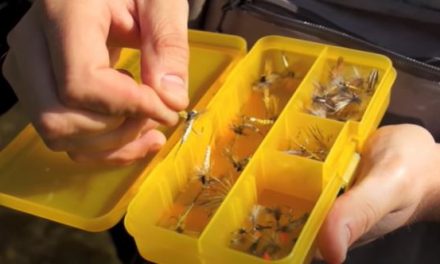 Chalkstream Fly Fishing During Mayfly Season!
