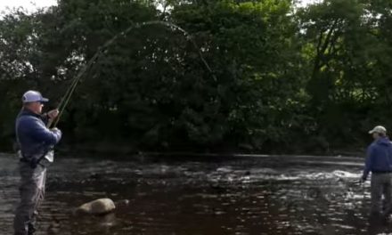 Salmon Fishing On Yorkshire’s River Ure!