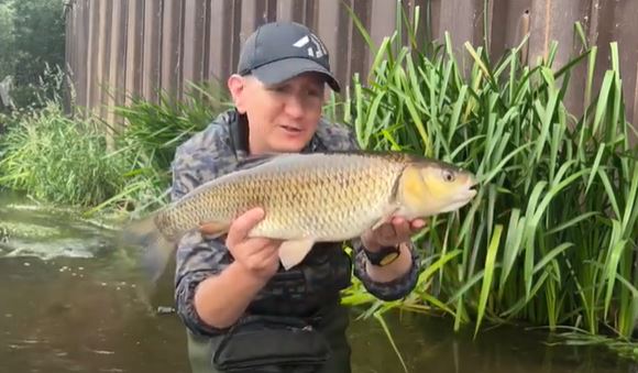 Big River Chub With Alfie Naylor!